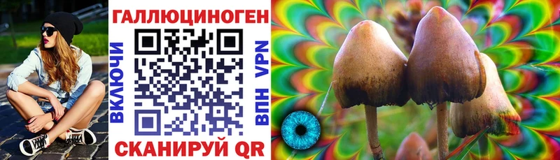 Купить  Сковородино  Галлюциногенные грибы ЛСД 