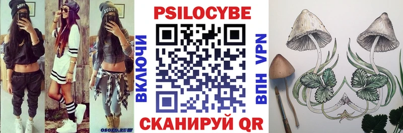 Галлюциногенные грибы Cubensis Сковородино